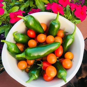 Meet your Posher, Katrina